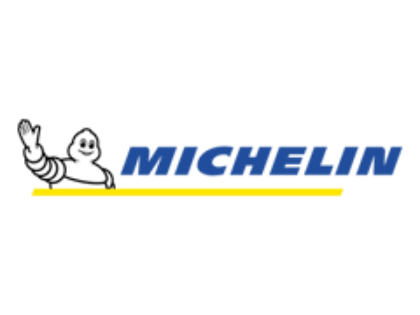Picture for manufacturer MICHELIN