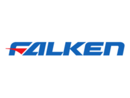 Picture for manufacturer FALKEN